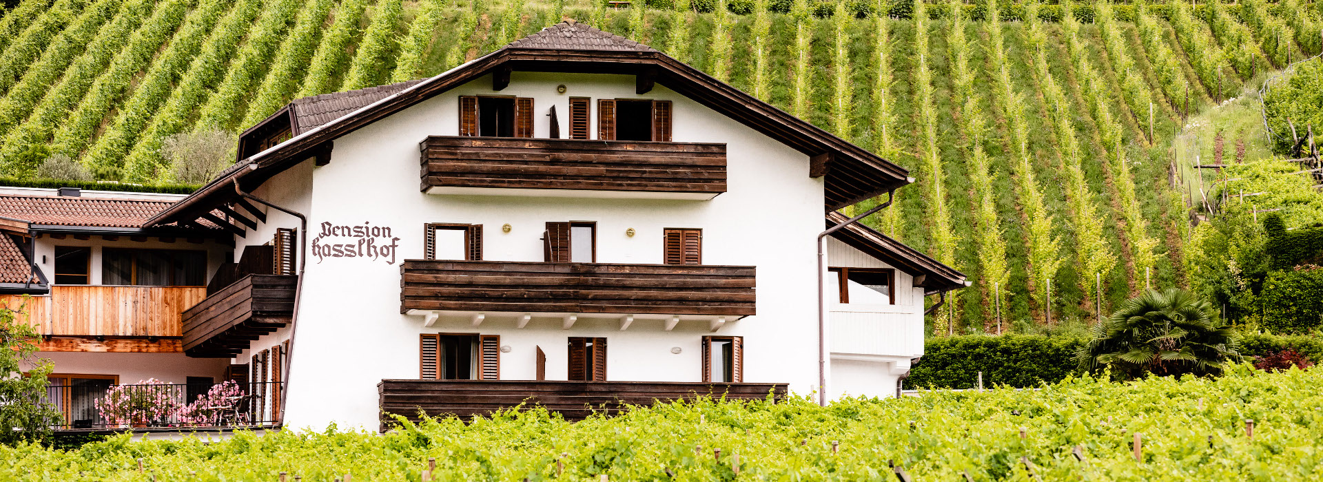 Stammhaus Pension Hasslhof: Ihr Weinhotel Südtirol mitten in den Weinbergen Kalterns