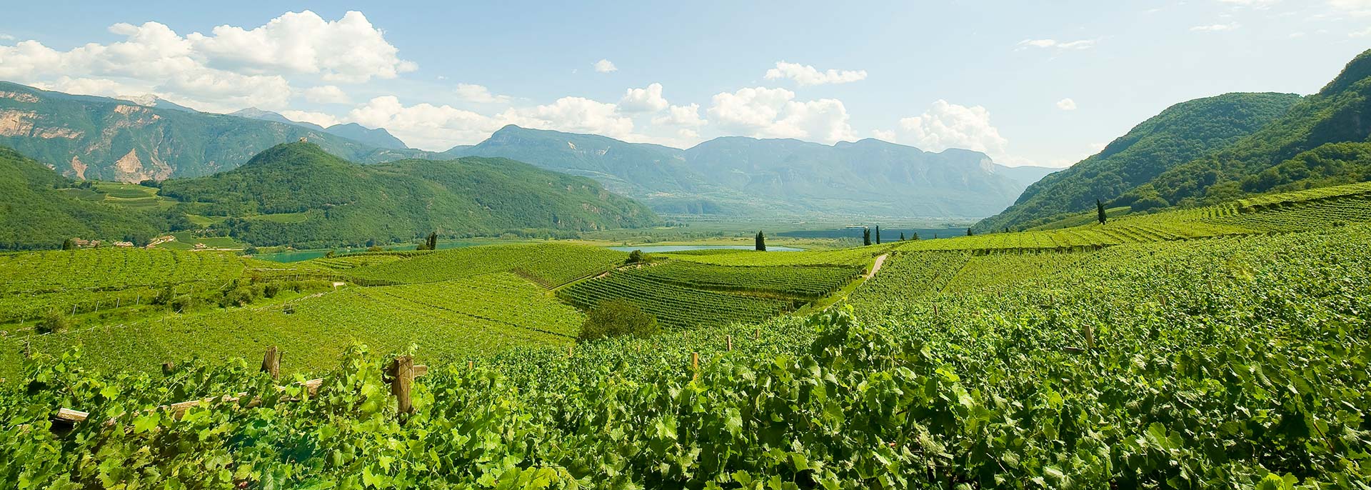 Das Weinhotel in Südtirol direkt in den Weinbergen: Ihr Hotel Kaltern