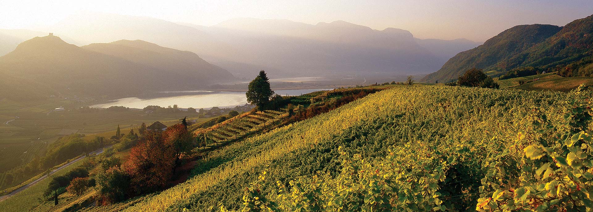 Weinhotel Südtirol - Hotel Panorama auf den Kalterer See